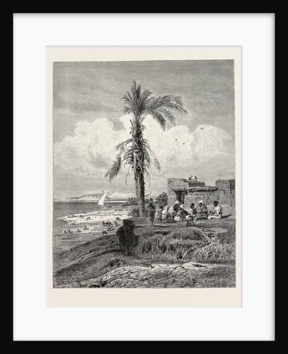 Bank of the Nile in the Neighbourhood of Abydos by Anonymous