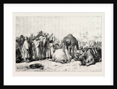 Camel Market by Anonymous