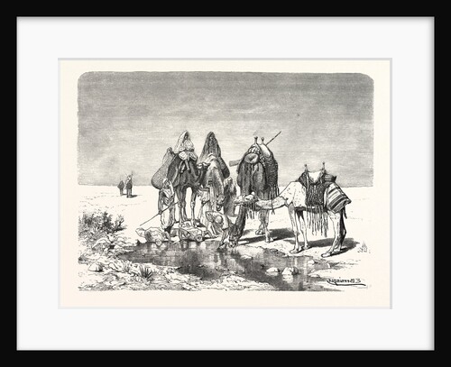 A Spring in the Desert by Anonymous