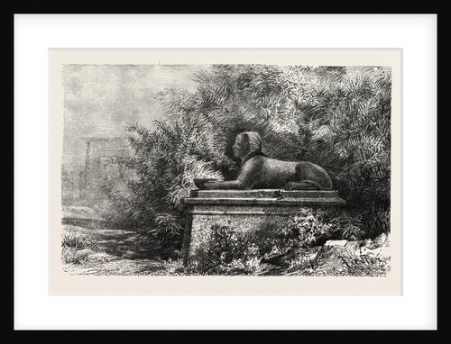 Sphinx at Karnak by Anonymous