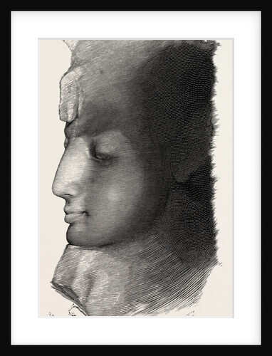 Head of Queen Nefertari by Anonymous