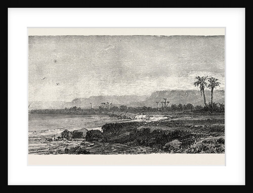 From Thebes To The Cataract by Anonymous