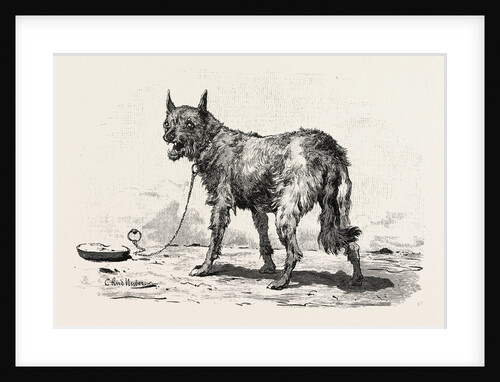 A Dog at Erment by Anonymous