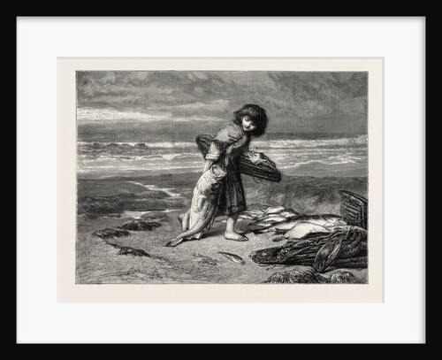 The Prize, from the Drawing by J.D. Watson by Anonymous