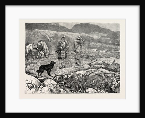 Grouse Shooting, 1870 by Anonymous