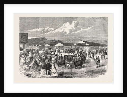 Judging the Cattle at the Plymouth Agricultural Show, UK, 1865 by Anonymous