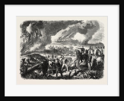 Burning of Cork-Tree Forests, in the District of Jemappes, Philipville, Algeria, 1865 by Anonymous