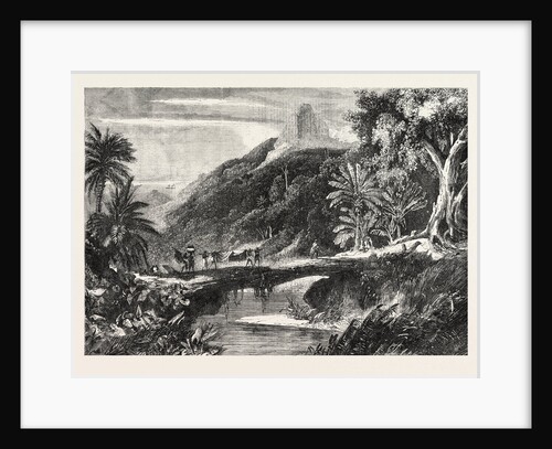 A Forest Scene in Madagascar, 1865 by Anonymous