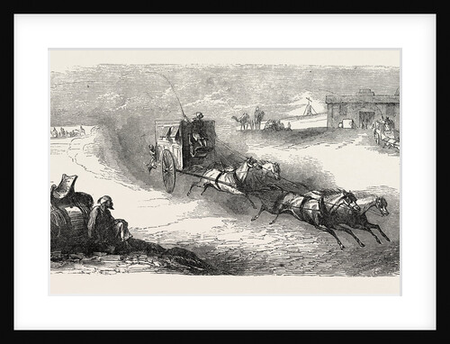 The Suez Railway: Coach Service in the Egyptian Desert, 1857 by Anonymous