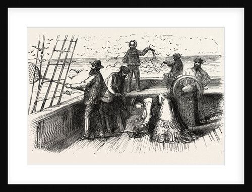 Catching Cape-Pigeons in the Gulf of Pegas by Anonymous