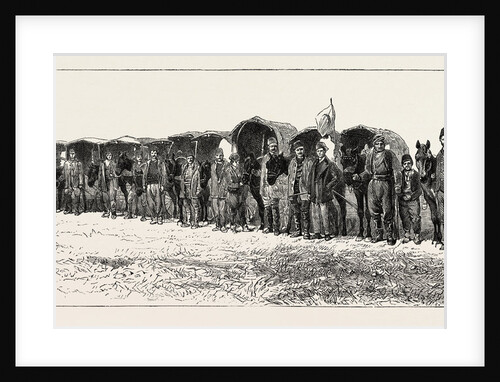 Dr. Stoker's Field Ambulance Corps (Stafford House Society), British in Turkey by Anonymous