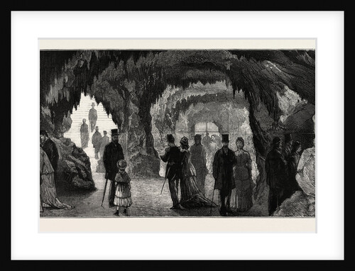 In the Aquarium on the Trocadero, the Paris Exhibition, France by Anonymous