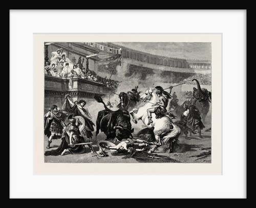 A Bull Fight by Anonymous