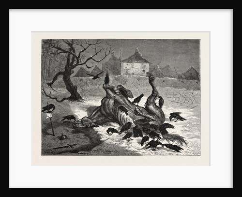 The The Horrors of War: on the Road to Beaugency, France, 1871 by Anonymous