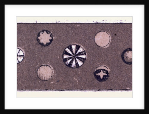 Renaissance Ornament by Anonymous
