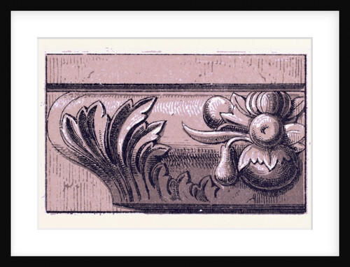 Renaissance Ornament by Anonymous