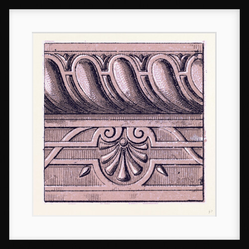 Renaissance Ornament by Anonymous