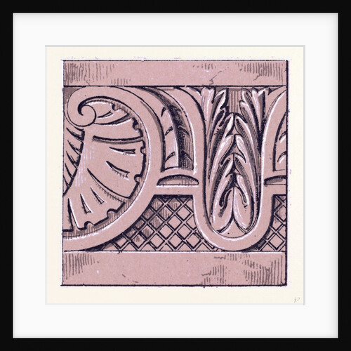 Renaissance Ornament by Anonymous