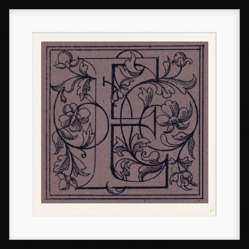 Italian Ornament by Anonymous