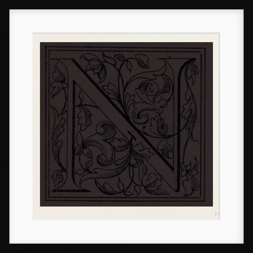 Italian Ornament by Anonymous