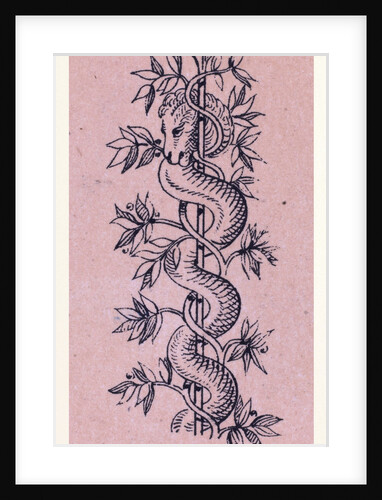 Italian Ornament by Anonymous