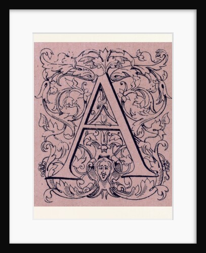 Italian Ornament by Anonymous