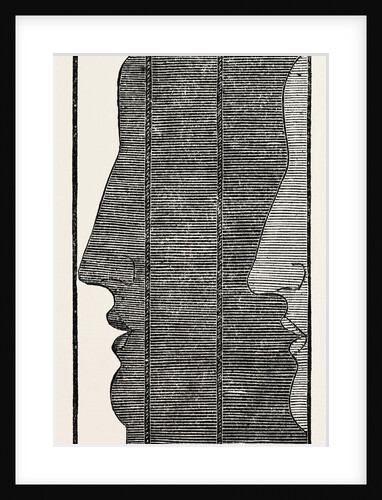 Section, Showing The Impression of the Features in A Physiognotype by Anonymous
