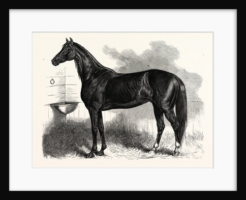 Connecticut: St. Julien, Who Beat His Own and the Best One-Mile Record, at the Charter Oak Course, Hartford by Anonymous