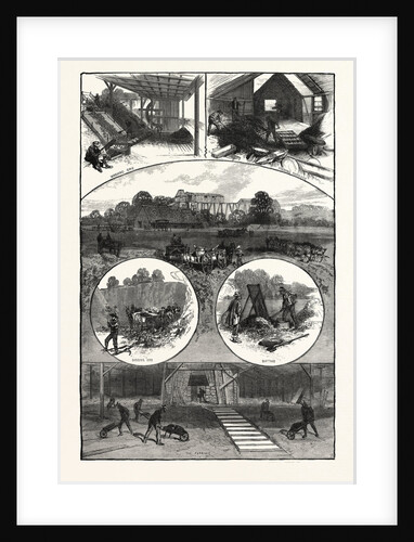 Tennessee: Our National Industries: Methods of Iron Mining at Carter's Furnace by Anonymous