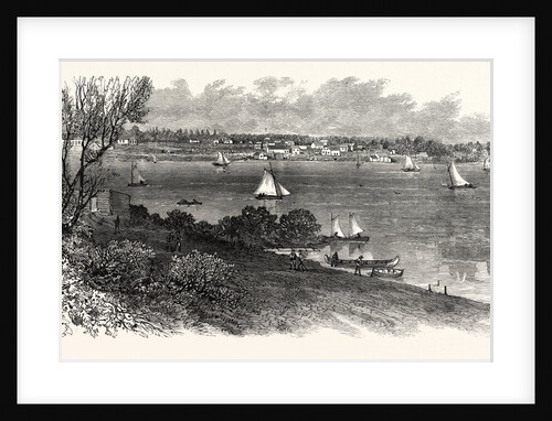 Canada: View from Rat Portage, District of Keewatin, on the Line of the New Canadian Pacific Railroad by Anonymous