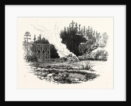 North Carolina: Wrecking of the Passenger and Freight Train at Indian Creek Trestle, December by Anonymous