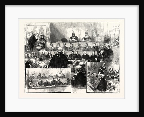 The Irish Land League Trials at Dublin by Anonymous