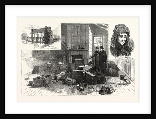 The Singular Story of Mary Hammell and Her Alleged Persecutor: Mrs. Allen's Remarkable Collections in the Texido Mansion, Flushing by Anonymous