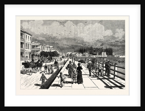 South Carolina: The South in 1880, East Battery, the Promenade on the Southern End of East Bay Street. Charleston by Anonymous