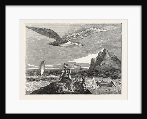 The Wandering Albatross by Anonymous