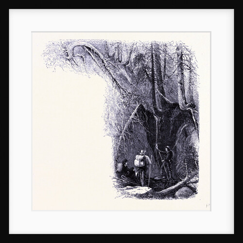 Source of the Hudson by Anonymous