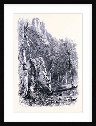Mount Mansfield by Anonymous