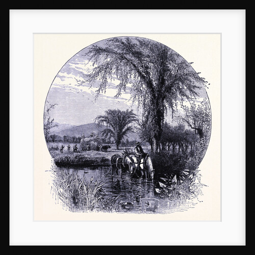 The Conway Meadows by Anonymous