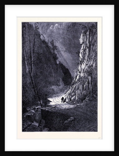 Crawford Notch Gorge by Anonymous