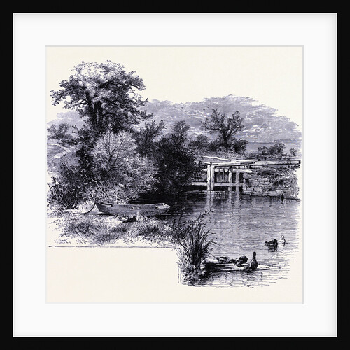 The Shore of the Connecticut River by Anonymous