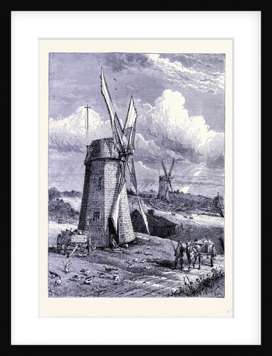 Windmills at East Hampton by Anonymous