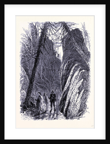 Pudding Stone Hall by Anonymous
