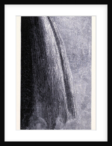 Niagara Falls by Anonymous
