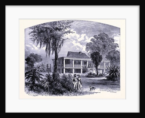 A House Near the Mississipi by Anonymous