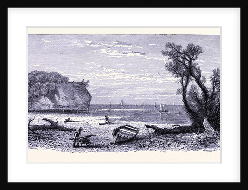 The River Mouth of the Rocky River by Anonymous