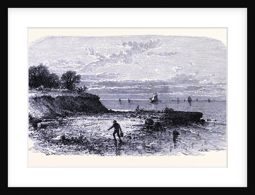 Kelley's Island by Anonymous