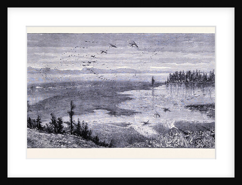 Yellowstone Lake by Anonymous