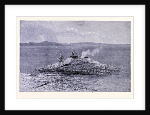 The Crater of the Hot Spring by Anonymous