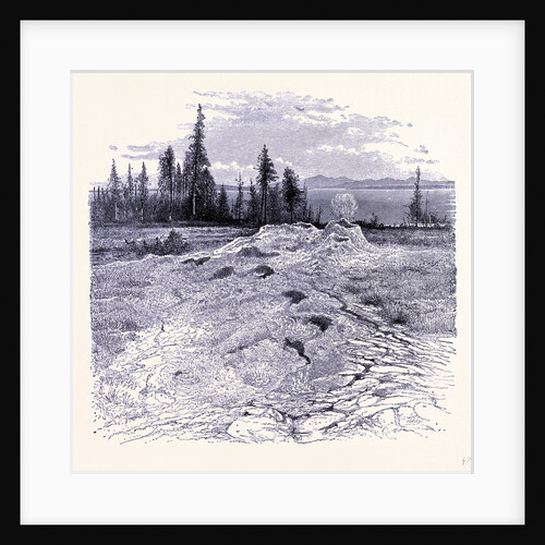 A Spring by Anonymous