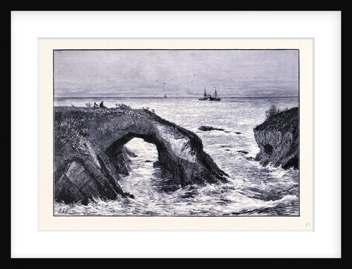 Coast of Mendocino by Anonymous